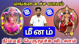 Meena rasi sevvai peyarchi palan 2024 மீனம் ராசிக்கு செவ்வாய் பெயர்ச்சி பலன்கள் [upl. by Hilleary]