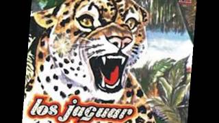 LOS JAGUAR DE VALLE HERMOSO Mix [upl. by Kailey]