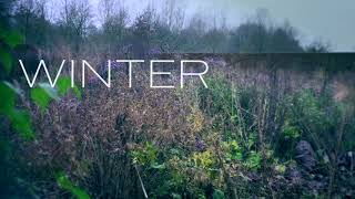 Five Seasons The Gardens of Piet Oudolf  Hummelo winter timelapse [upl. by Grimbald515]