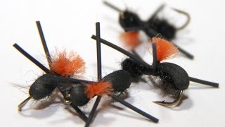 Fly Tying  Foam Ant [upl. by Elihu]