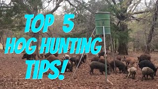 TOP 5 HOG HUNTING TIPS [upl. by Donetta]