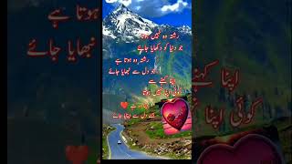 urdu shayari black screen statusurdu shayari black screen status [upl. by Yevette393]