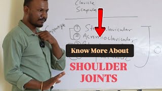 know about the shoulder joints and muscles yogaanatomy shoulderworkout shoulder jointpain [upl. by Cammi]