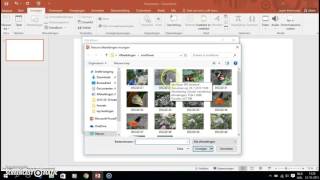 Fotoalbum in PowerPoint 2016 [upl. by Pani435]