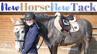 New Horse New Tack AD  This Esme [upl. by Tedi9]