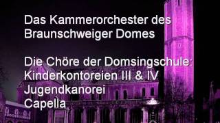 Braunschweiger Dom  Die Geburt Christi  Erklärungen und Information  Teil 4  Orgelkonzert [upl. by Hendon]