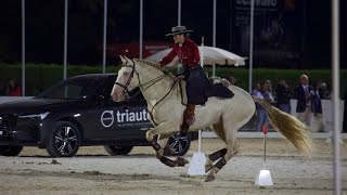 World championship of working equitation speed test Nicole e Inca [upl. by Melinda]