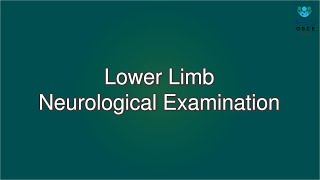 Lower Limb Neurological Examination  Macleods Clinical Examination [upl. by Zeiler58]