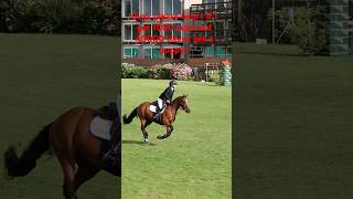 Us at hicksteadPlease sub it means allot horsesaremylife animals equestrian showjumping horse [upl. by Gazzo768]