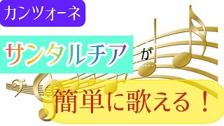 カンツォーネ「サンタルチア」を歌えるまで オペラ歌手押川浩士おしかわひろし [upl. by Marve]