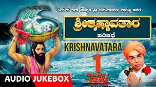 Krishnavatara  Kannada Harikathe  Gururajulu naidu  harikathegalu [upl. by Flori]