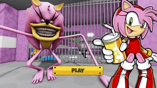 Pink Shin SONIC TAPES Barrys Prison Run WALKTHROUGH FULL GAME roblox scaryobby [upl. by Cloutman]