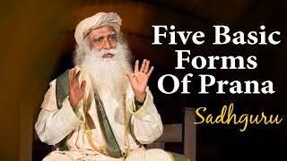 Sadhguru Explain The 5 Basic Forms Of Prana [upl. by Borrell147]