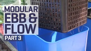 How to set up an Ebb amp Flow  Flood amp Drain Hydroponics Growing System  Pest Control  PART 3 of 6 [upl. by Aicargatla]