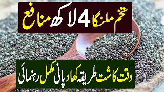 How to Grow Basil a Profitable Farming  New Business Idea for Farmer  تخم ملنگا کی کاشت [upl. by Nuajed]