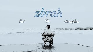 zbrah  Feel The Atmosphere Music Video [upl. by Aynuat54]