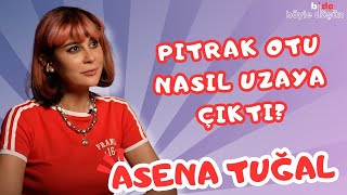 PITRAK OTU NASIL UZAYA ÇIKTI  Bi de Böyle Düşün  Asena Tuğal [upl. by Menides]