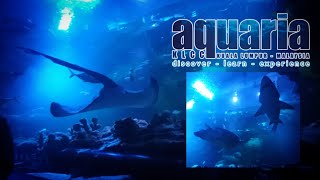 AQUARIA KLCC  FULL VIDEO [upl. by Enrobialc]