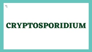 Cryptosporidium  Morphology Life Cycle Cryptosporidiosis lab Diagnosis Treatment  MedZukhruf [upl. by Sax]