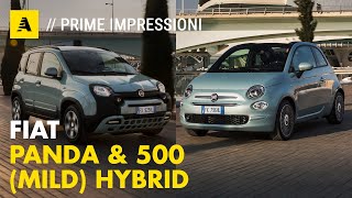 FIAT Panda e 500 IBRIDA  Come va il nuovo mild hybrid [upl. by Marja]