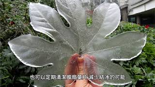 解決Panasonic分體冷氣機滴水噩夢！實用解決秘訣一次看清楚 [upl. by Saito505]