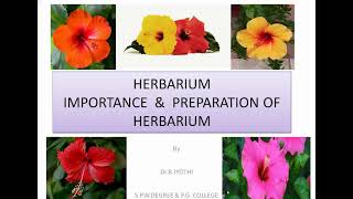 HerbariumImportance amp Preparation Of Herbarium  Easy Way Of Learning [upl. by Naerad]