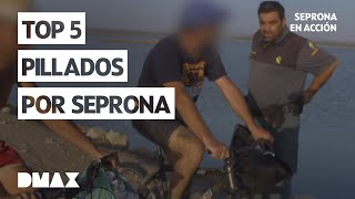 Los mejores momentos del Seprona  Seprona en acción [upl. by Nedle]