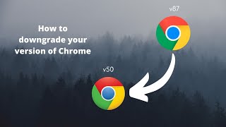 How to downgrade your version of Chrome [upl. by Lebasiairam]