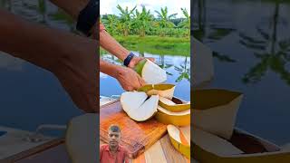 Coconut fruit cutting coconut food fruit oddlysatisfying satisfying [upl. by Arlee439]