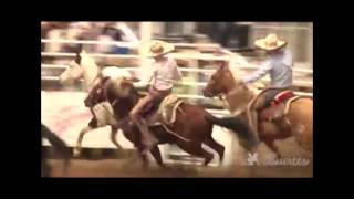 Charreria  Mexican Rodeo [upl. by Ioved]