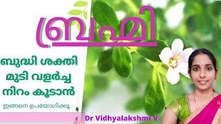 ബ്രഹ്മി  Brahmi plantBrahmi plant usesകുട്ടികൾക്കും മുതിർന്നവർക്കും  Dr Vidhyalakshmi [upl. by Iborian]