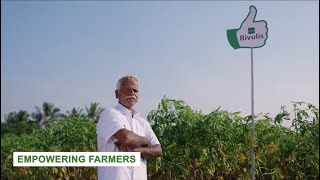 Rivulis Drip Irrigation System in Tapioca amp Maize  Tamil Nadu [upl. by Ap]