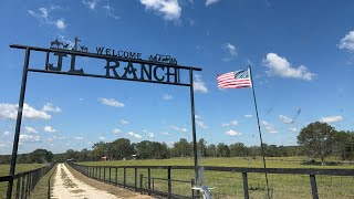 Longhorn Lesters is live at JL Ranch [upl. by Selim]