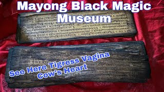 Mayong Black Magic Museum  Mayong Village Museum And Research Center [upl. by Halonna]