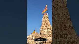 Dwarkadhisha Dhwaja Arohan🚩🚩dwarkadhish dwarka dwarkadhishstatus love shorts song edit [upl. by Gnav]