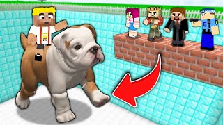 EFEKAN VE KÖPEĞİ ÇUKURUNA DÜŞERSEN ÖLÜRSÜN 😱  Minecraft ZENGİN FAKİR HAYATI [upl. by Nylodnewg]