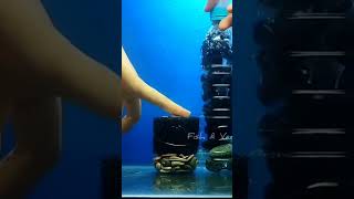 Adjustable aquarium filter  Super strong fish tank filter in the world [upl. by Aicilif]