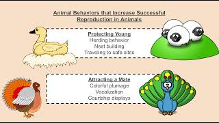 5 Minute Science Behaviors and Structures for Reproduction Understanding MSLS14 [upl. by Livvi]