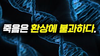 생물학자가 밝혀낸 죽음의 근본적 의미 [upl. by Aliemaj]