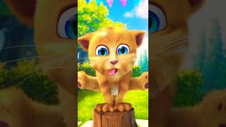 MY NAME IS CHIKI CHIKI CHIKI CLAP CLAP CHA CHA CHA tom talking talkingginger talkingtom 🐱 [upl. by Edrahs]