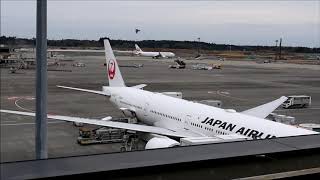 【成田空港第二ターミナル駐機場】Narita International Airport Mar 102019 [upl. by Eelsha]