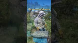 apicultura apiculture miel biobio chile florayfauna naturaleza🍃 short elecciones2024 [upl. by Kiraa759]