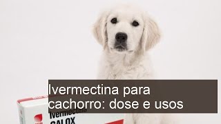 Ivermectina para cachorro  Para que serve e COMO USAR [upl. by Nafets]