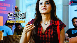 Eecha Malayalam Movie  Samantha learns about Nanis reincarnation  Nani  Samantha  Sudeep [upl. by Eimmij]