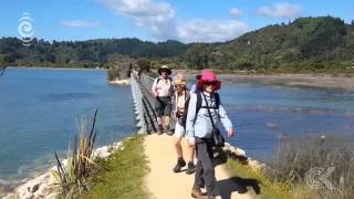 Wasp eradication programme trialled in Abel Tasman RNZ Checkpoint [upl. by Orgel]