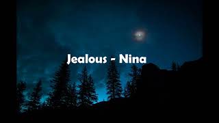 Jealous  Nina Lyrics [upl. by Grizelda]