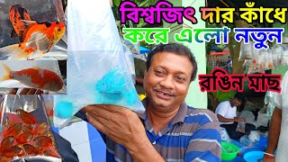 Serampore Pet Market Fish  Aquarium Fish Price  Hooghly Pet Market Serampore  Pet Market [upl. by Maggi112]