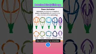 Define Flower Aestivation in Plants  KVS PGT BIOLOGY neet classxibiology [upl. by Hulbert]