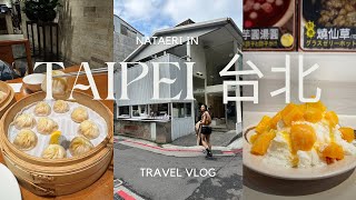 Taipei 台北 3 Day Travel Vlog  Local food night markets cafe shopping amp Humble Boutique Hotel [upl. by Aynatan]