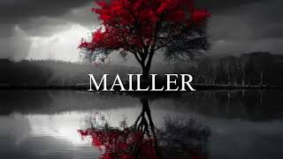 Ti B  Mailler TOXIC [upl. by Abagael]